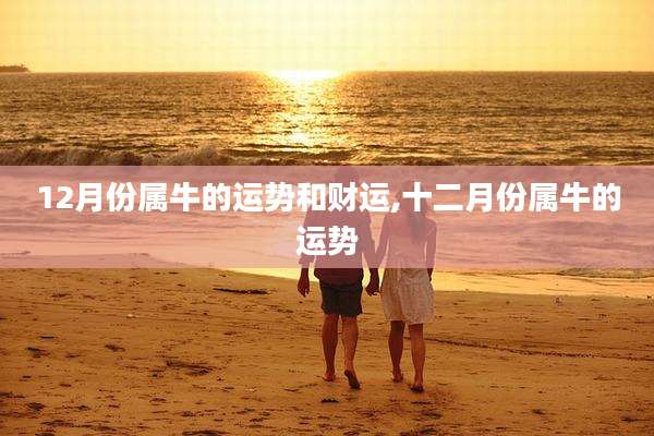 12月份属牛的运势和财运,十二月份属牛的运势