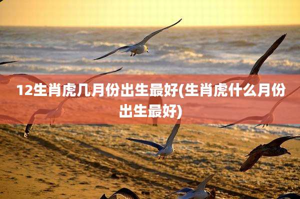 12生肖虎几月份出生最好(生肖虎什么月份出生最好)