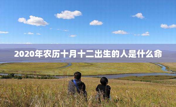 2020年农历十月十二出生的人是什么命
