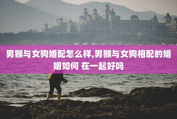 男猴与女狗婚配怎么样,男猴与女狗相配的婚姻如何 在一起好吗