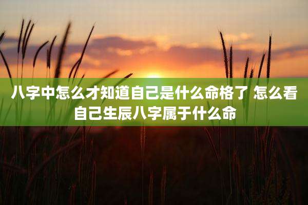 八字中怎么才知道自己是什么命格了 怎么看自己生辰八字属于什么命