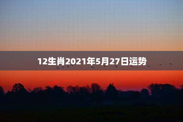 12生肖2021年5月27日运势