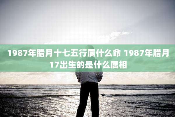 1987年腊月十七五行属什么命 1987年腊月17出生的是什么属相