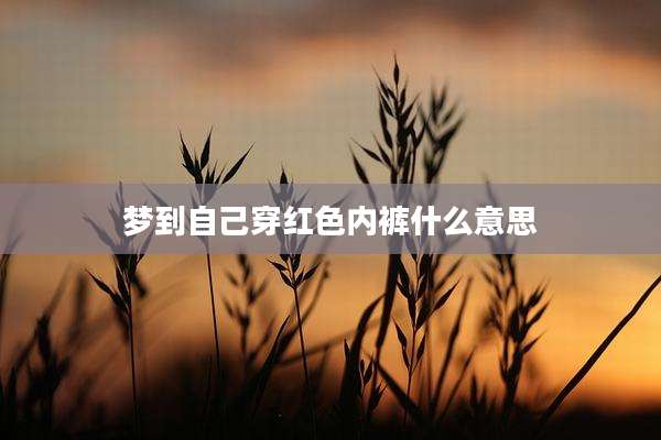梦到自己穿红色内裤什么意思
