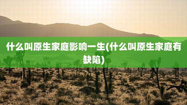 什么叫原生家庭影响一生(什么叫原生家庭有缺陷)