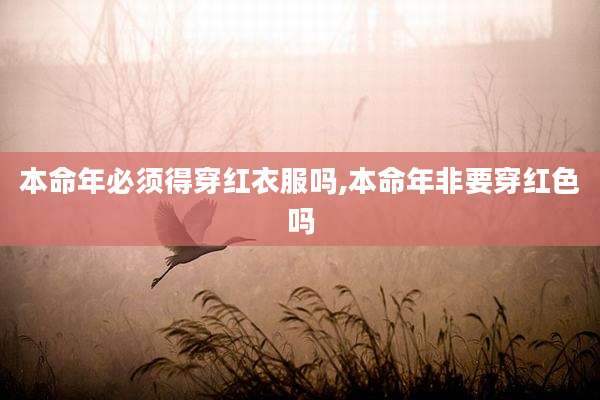 本命年必须得穿红衣服吗,本命年非要穿红色吗