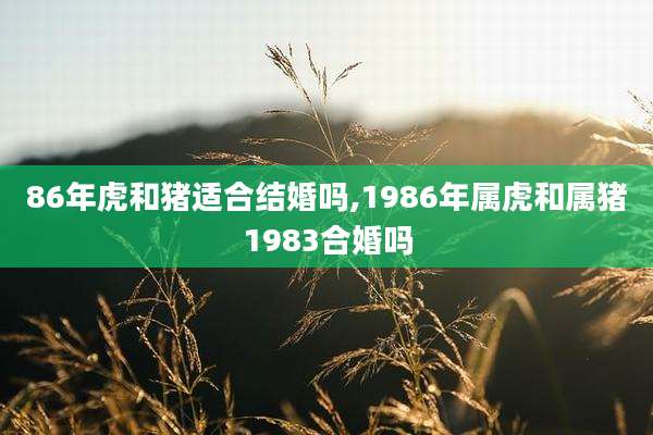 86年虎和猪适合结婚吗,1986年属虎和属猪1983合婚吗