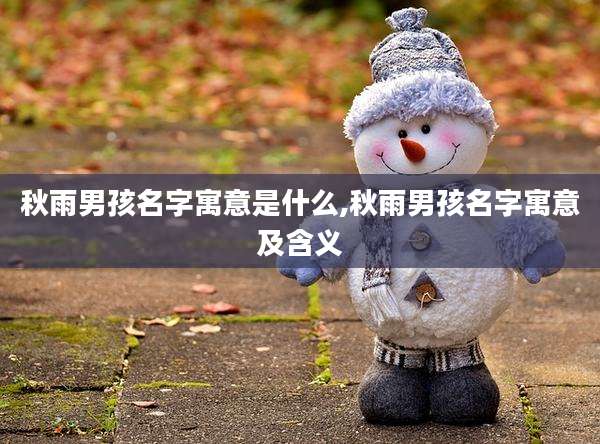 秋雨男孩名字寓意是什么,秋雨男孩名字寓意及含义