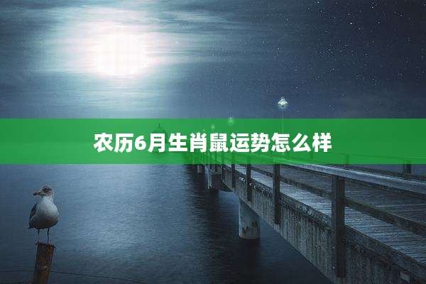 农历6月生肖鼠运势怎么样
