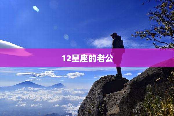 12星座的老公