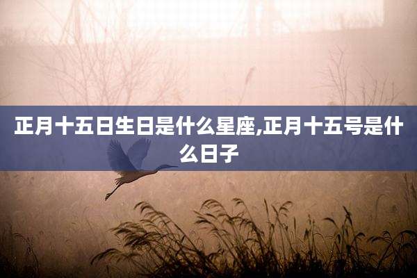 正月十五日生日是什么星座,正月十五号是什么日子