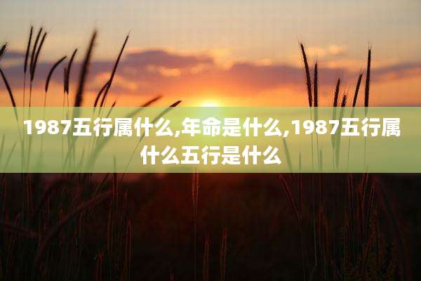 1987五行属什么,年命是什么,1987五行属什么五行是什么