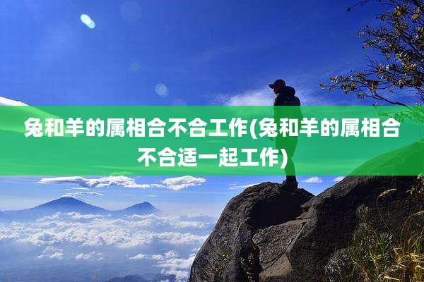 兔和羊的属相合不合工作(兔和羊的属相合不合适一起工作)