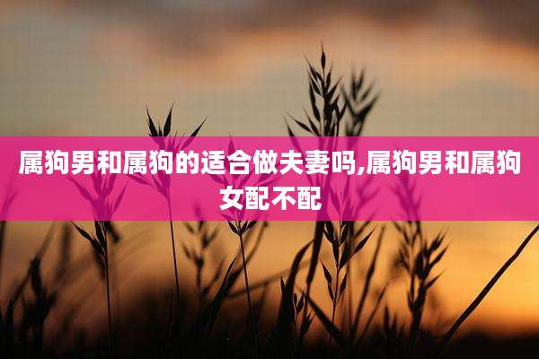 属狗男和属狗的适合做夫妻吗,属狗男和属狗女配不配