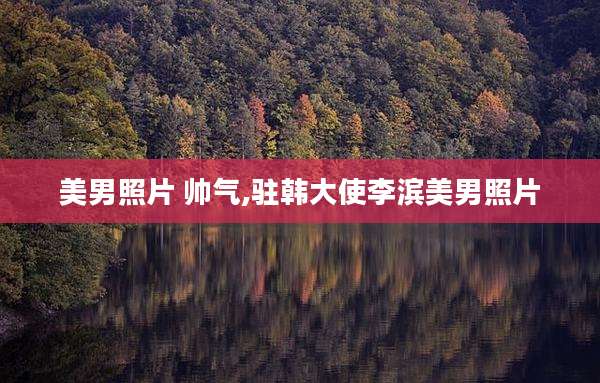 美男照片 帅气,驻韩大使李滨美男照片