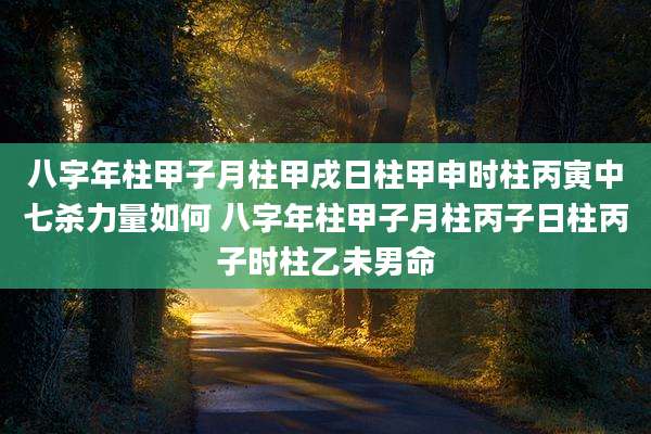八字年柱甲子月柱甲戌日柱甲申时柱丙寅中七杀力量如何 八字年柱甲子月柱丙子日柱丙子时柱乙未男命