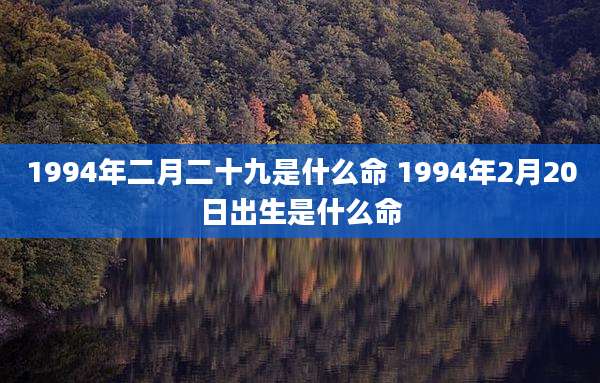 1994年二月二十九是什么命 1994年2月20日出生是什么命