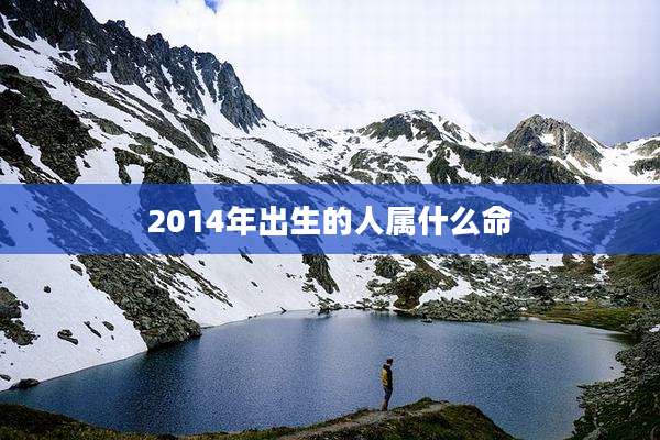 2014年出生的人属什么命