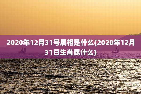 2020年12月31号属相是什么(2020年12月31日生肖属什么)