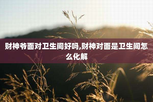 财神爷面对卫生间好吗,财神对面是卫生间怎么化解