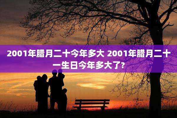 2001年腊月二十今年多大 2001年腊月二十一生日今年多大了?