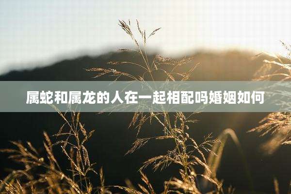 属蛇和属龙的人在一起相配吗婚姻如何
