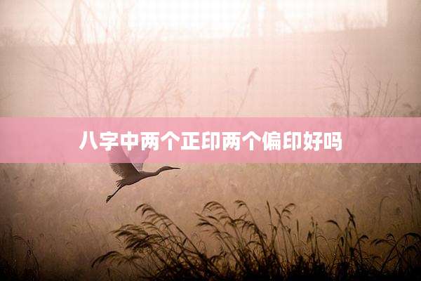 八字中两个正印两个偏印好吗