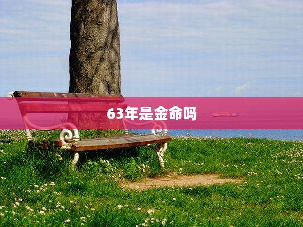 63年是金命吗