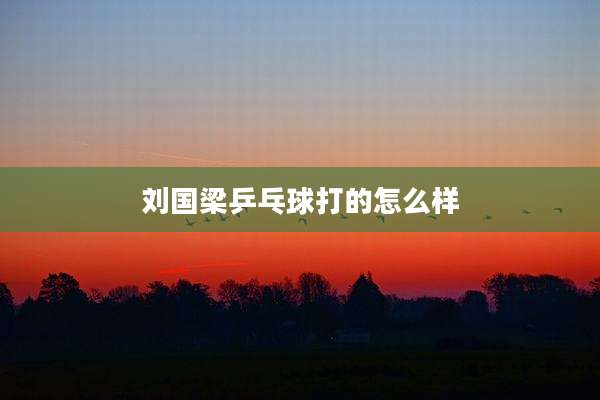 刘国梁乒乓球打的怎么样