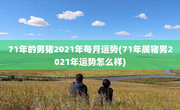 71年的男猪2021年每月运势(71年属猪男2021年运势怎么样)