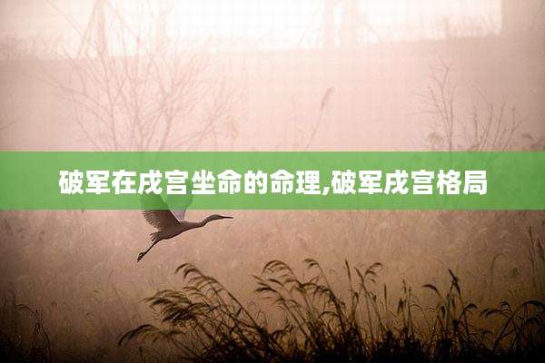 破军在戌宫坐命的命理,破军戌宫格局
