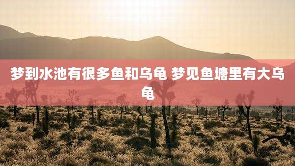 梦到水池有很多鱼和乌龟 梦见鱼塘里有大乌龟