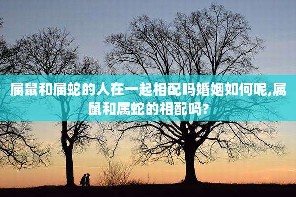 属鼠和属蛇的人在一起相配吗婚姻如何呢,属鼠和属蛇的相配吗?