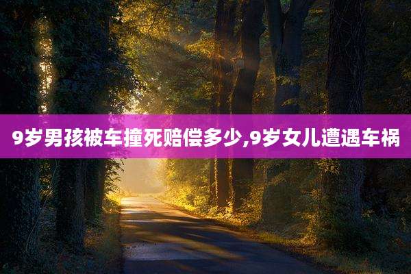 9岁男孩被车撞死赔偿多少,9岁女儿遭遇车祸