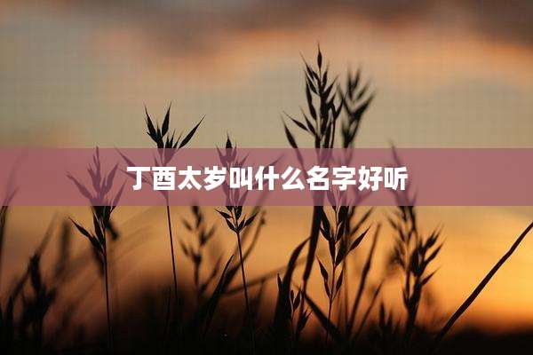 丁酉太岁叫什么名字好听