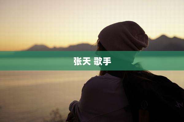 张天 歌手