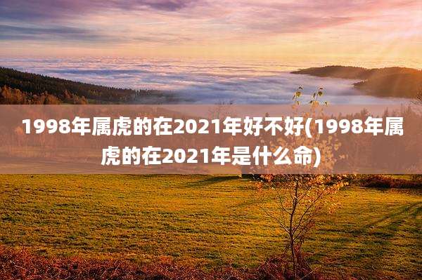 1998年属虎的在2021年好不好(1998年属虎的在2021年是什么命)