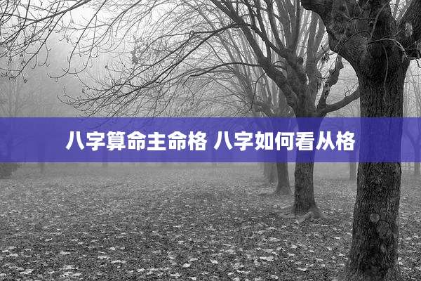 八字算命主命格 八字如何看从格