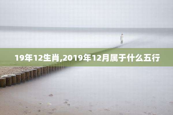 19年12生肖,2019年12月属于什么五行