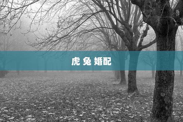 虎 兔 婚配