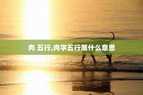 肉 五行,肉字五行属什么意思