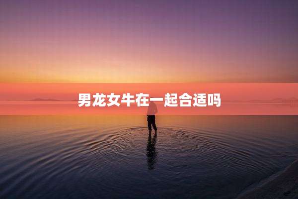 男龙女牛在一起合适吗