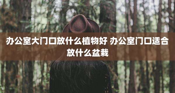办公室大门口放什么植物好 办公室门口适合放什么盆栽