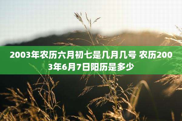 2003年农历六月初七是几月几号 农历2003年6月7日阳历是多少