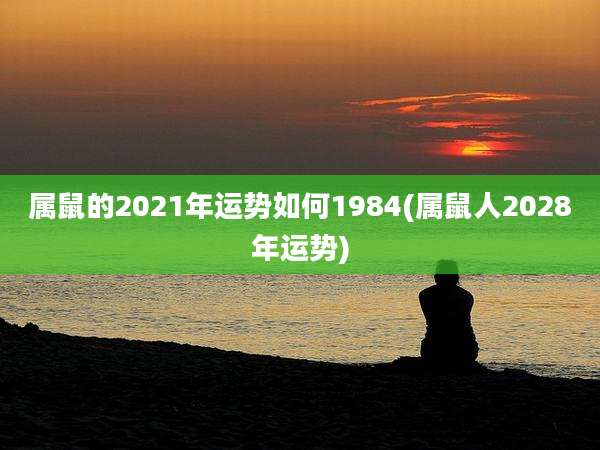属鼠的2021年运势如何1984(属鼠人2028年运势)