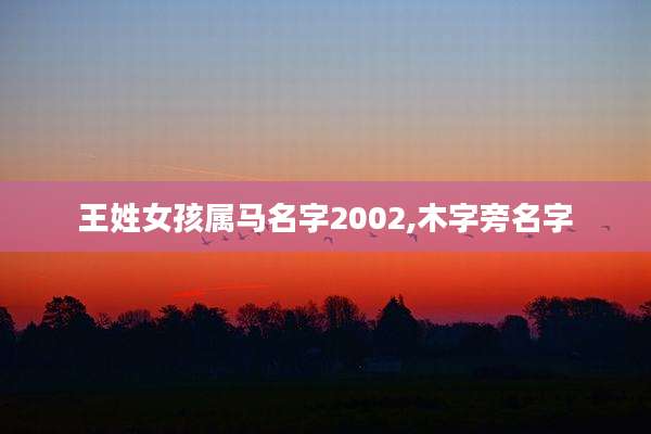 王姓女孩属马名字2002,木字旁名字