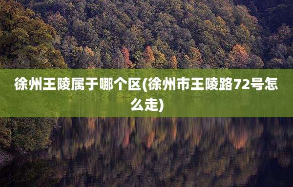 徐州王陵属于哪个区(徐州市王陵路72号怎么走)