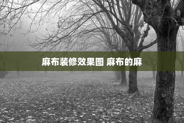 麻布装修效果图 麻布的麻