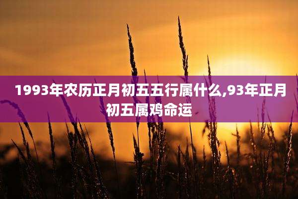 1993年农历正月初五五行属什么,93年正月初五属鸡命运