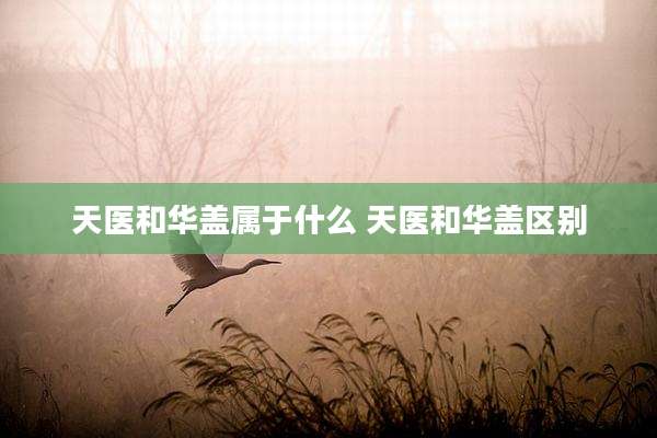 天医和华盖属于什么 天医和华盖区别